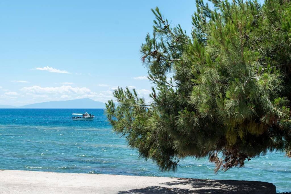 Endless Sea View House Villa Nea Iraklia Exterior photo
